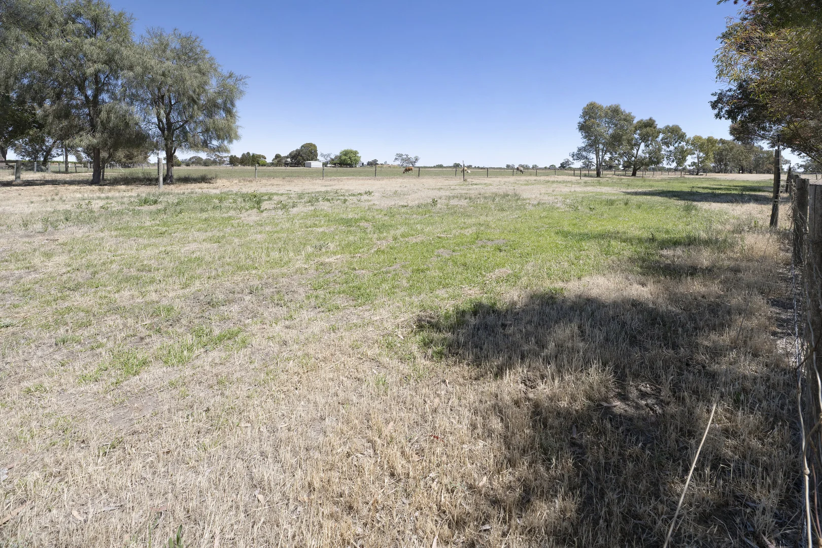 Additional image 30 of 91 Goodman Road, Woorinen VIC 3589