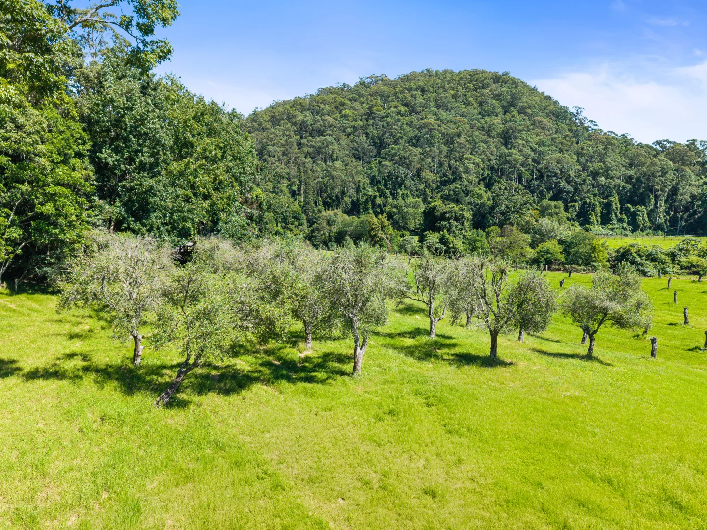 Additional image 23 of 665 Brush Creek Road, Cedar Brush Creek NSW 2259