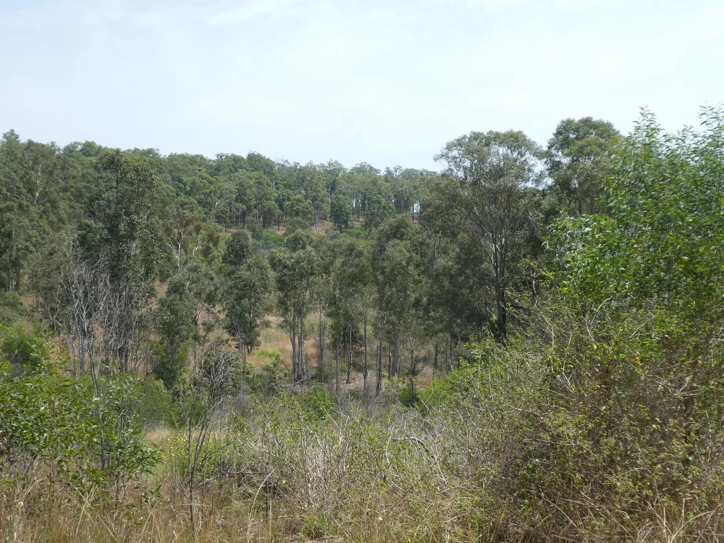 Additional image 31 of 35 Mahoneys Road, Bucca QLD 4670