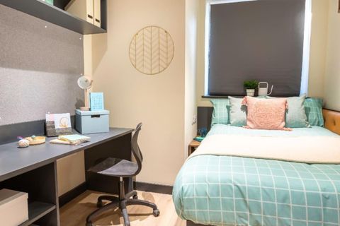 Hollingdean Road, Brighton BN2, Studio to rent
