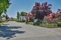 Additional image 26 of 1400 W Marlette St Spc 45, Ione, CA, 95640
