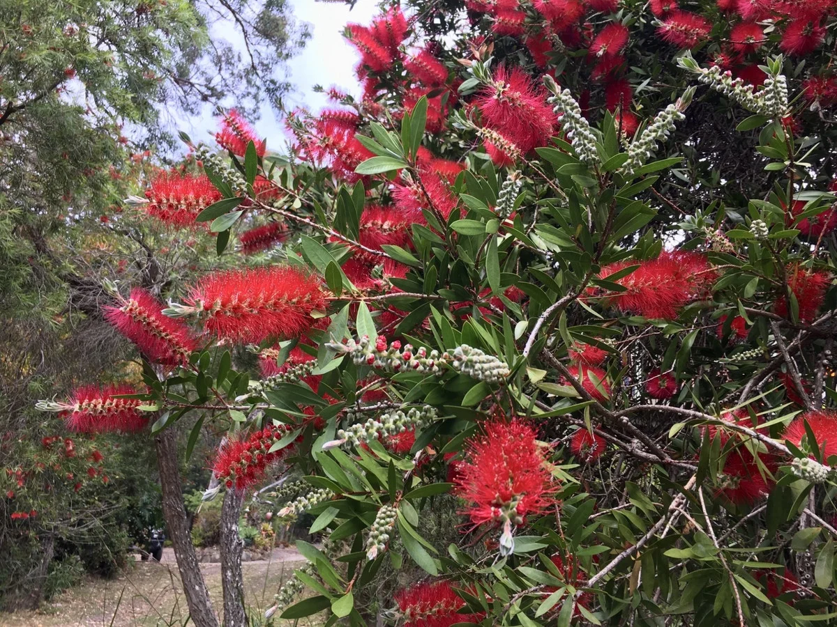 Additional image 36 of 12 Alinjarra Place, Barragga Bay NSW 2546