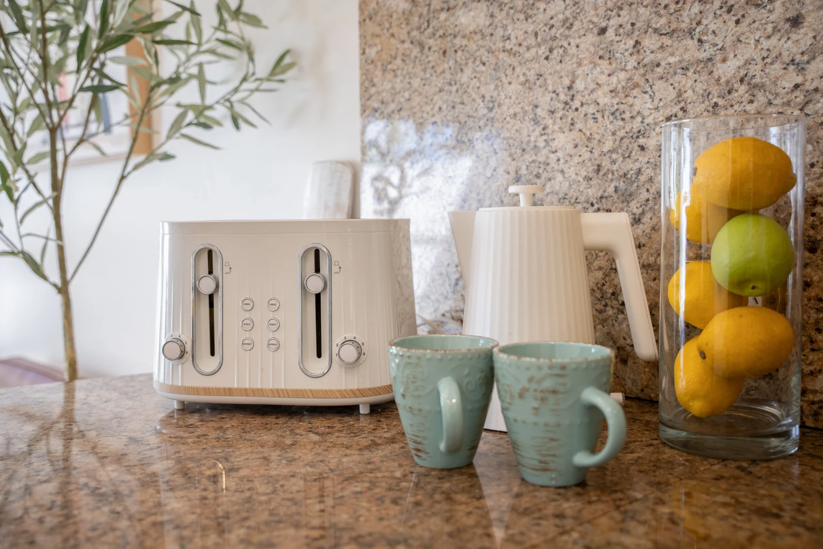 Additional image 7 of 49/103 Salerno Street, Surfers Paradise QLD 4217