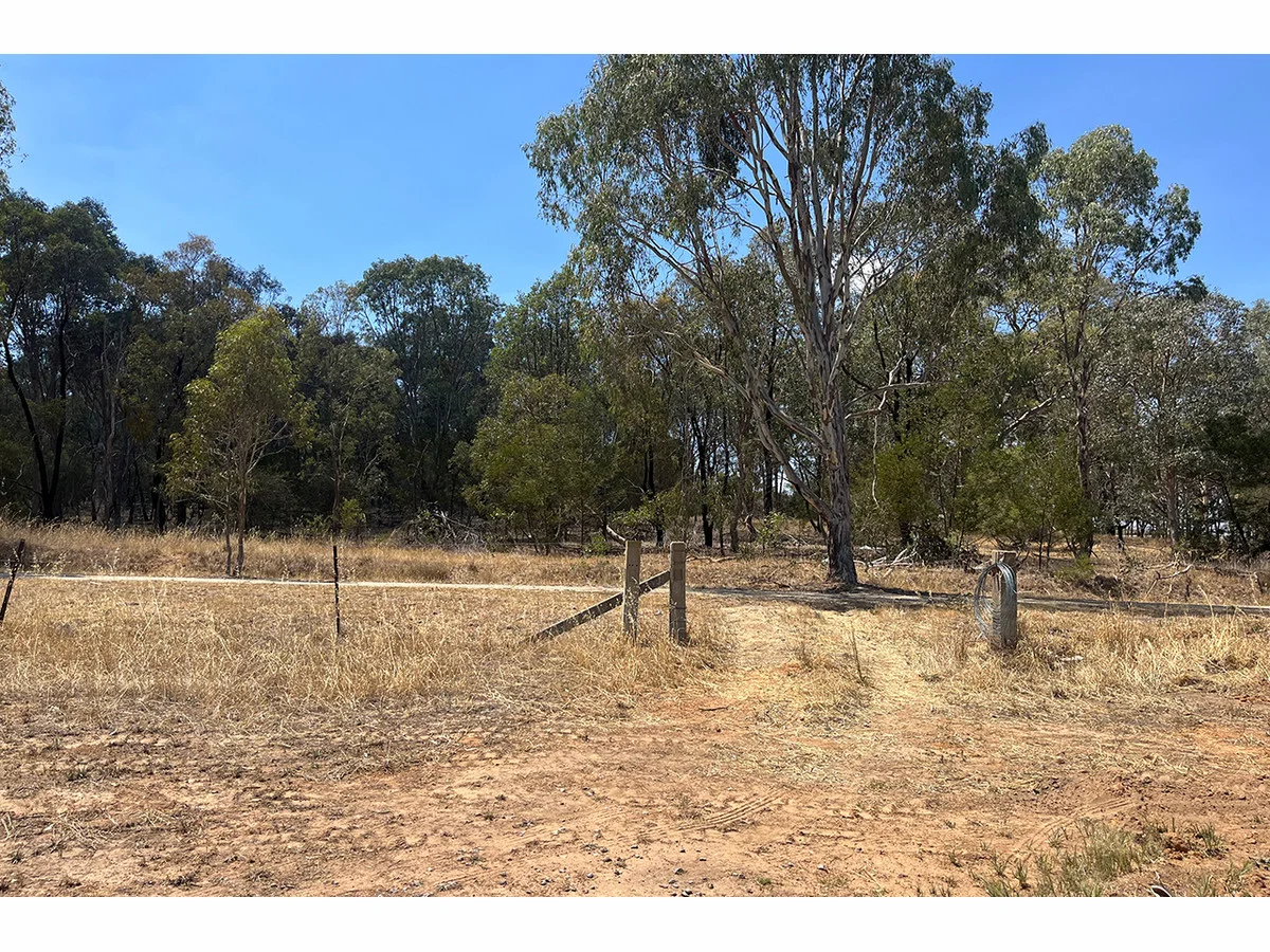 Additional image 3 of 29 Whitewater Terrace, Thurgoona NSW 2640