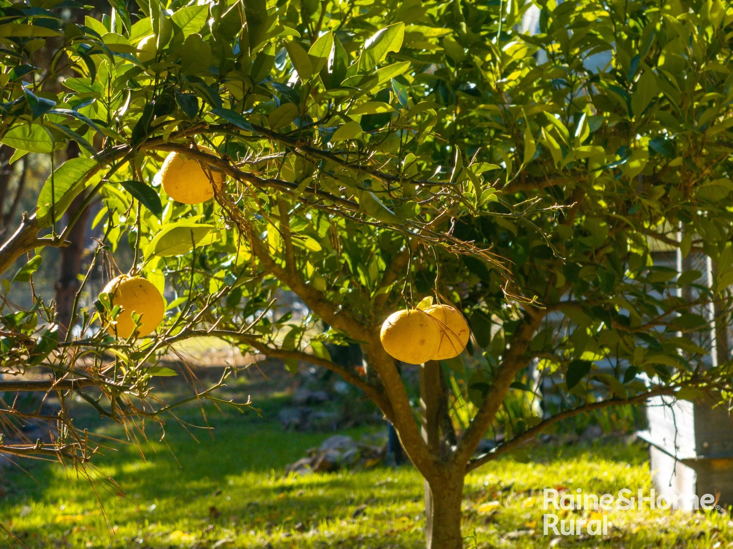 Additional image 19 of 122 Blakes Boulevard, Bungonia NSW 2580