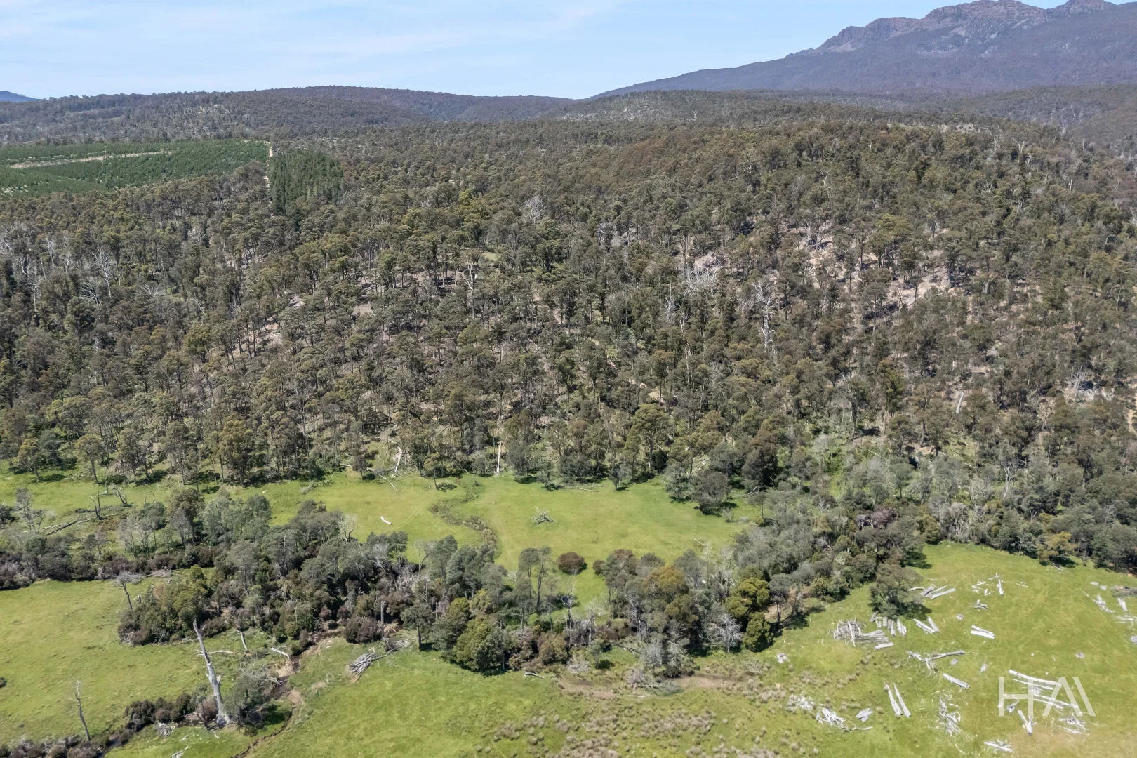 Additional image 20 of English Town Road, Deddington TAS 7212