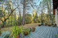 Additional image 10 of 26070 Green Acres Rd, Colfax, CA, 95713