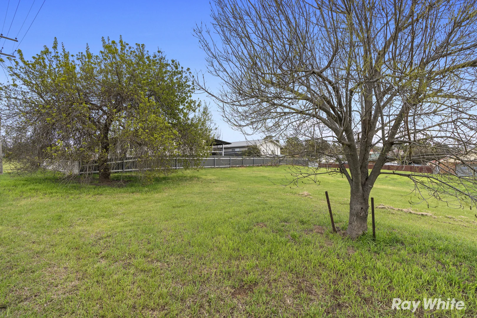 Additional image 2 of 31 Percy Street, Junee NSW 2663