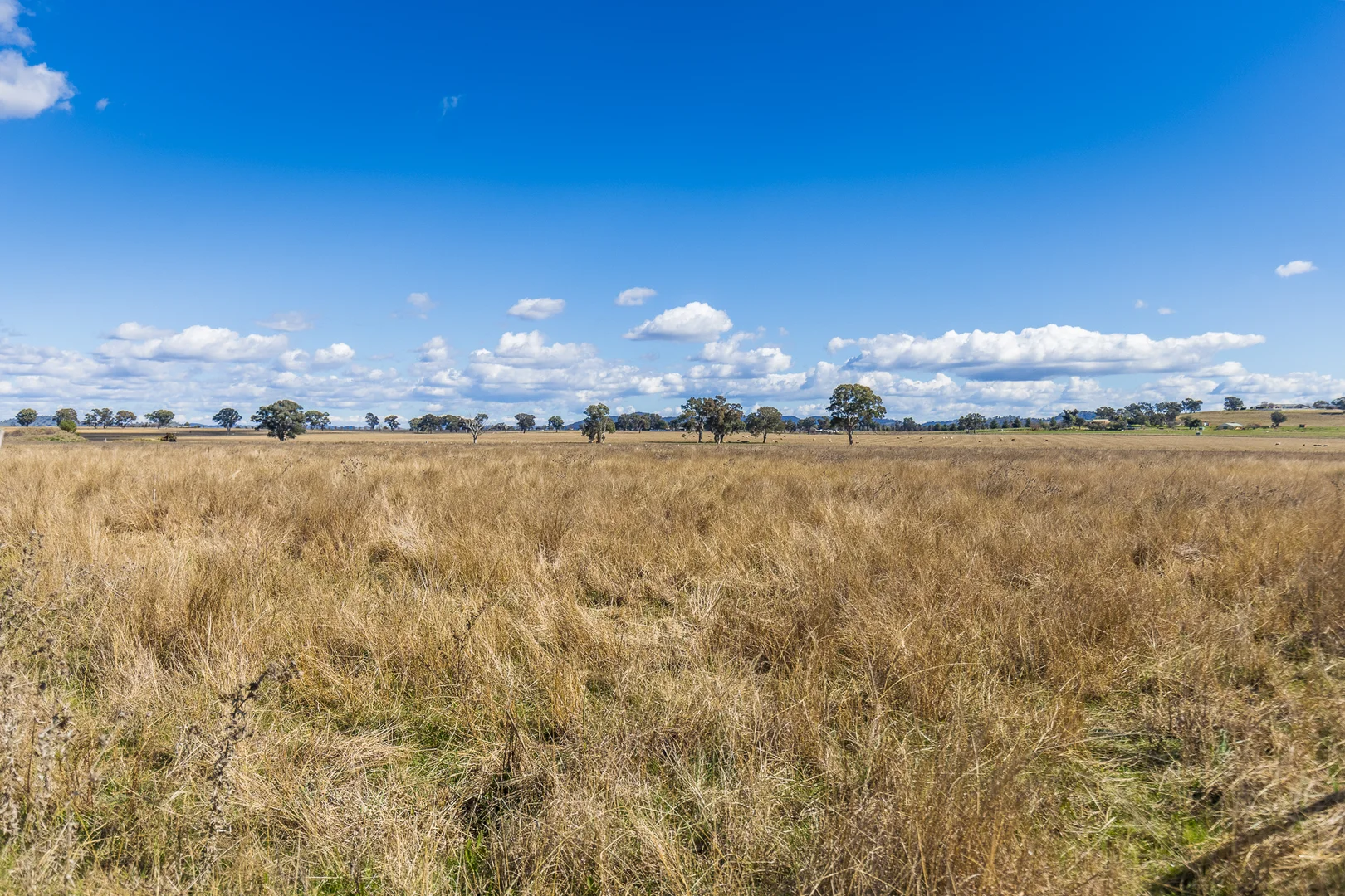 Additional image 4 of 95 Perseverance Lane, Gulgong NSW 2852