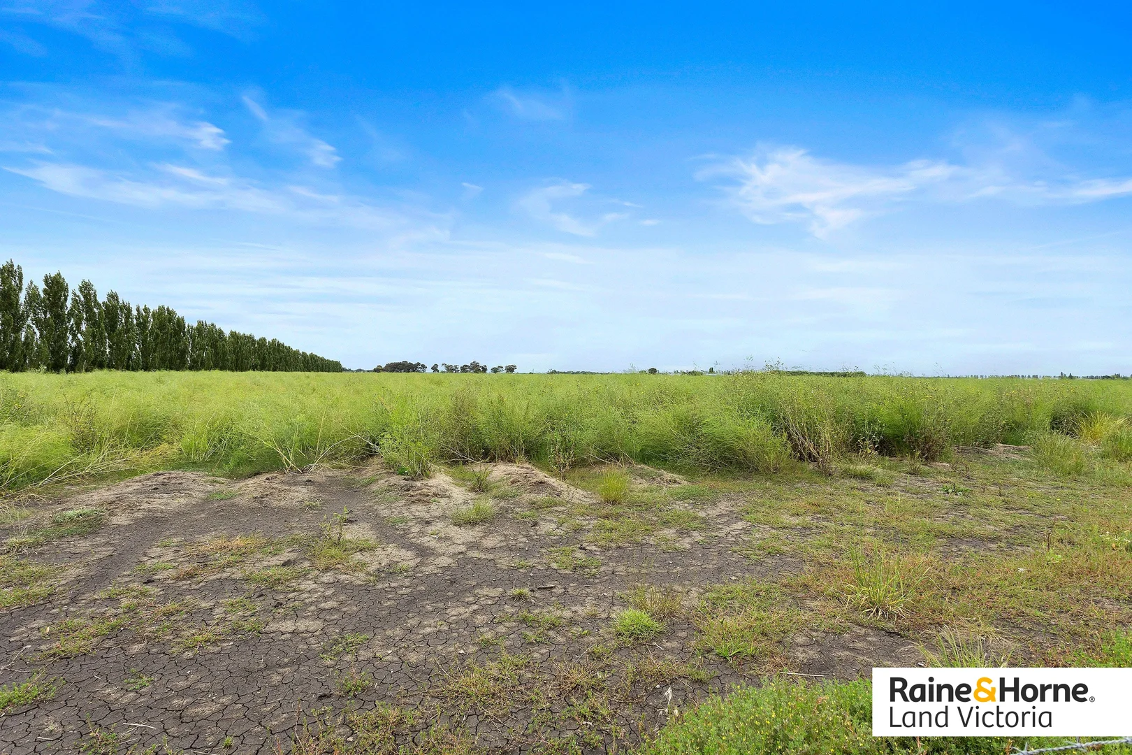 Additional image 15 of 580 Dalmore Road, Dalmore VIC 3981