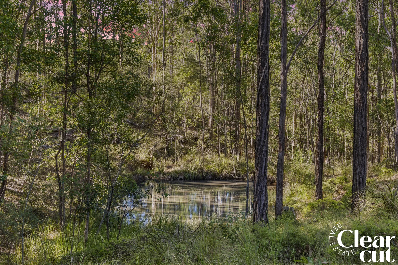 Additional image 17 of 454-458 Bellbird Drive, Greenbank QLD 4124