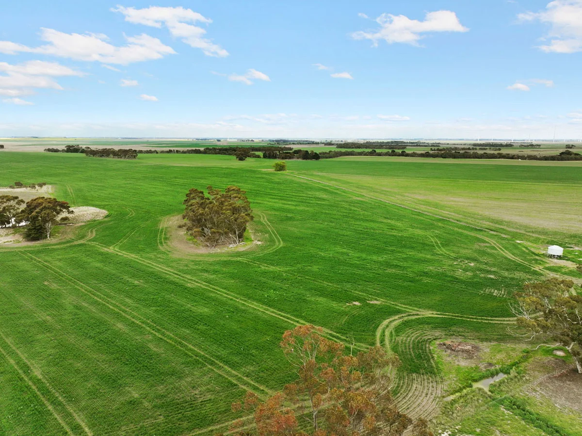 Additional image 3 of 1047 Rokewood-Shelford Road, Shelford VIC 3329