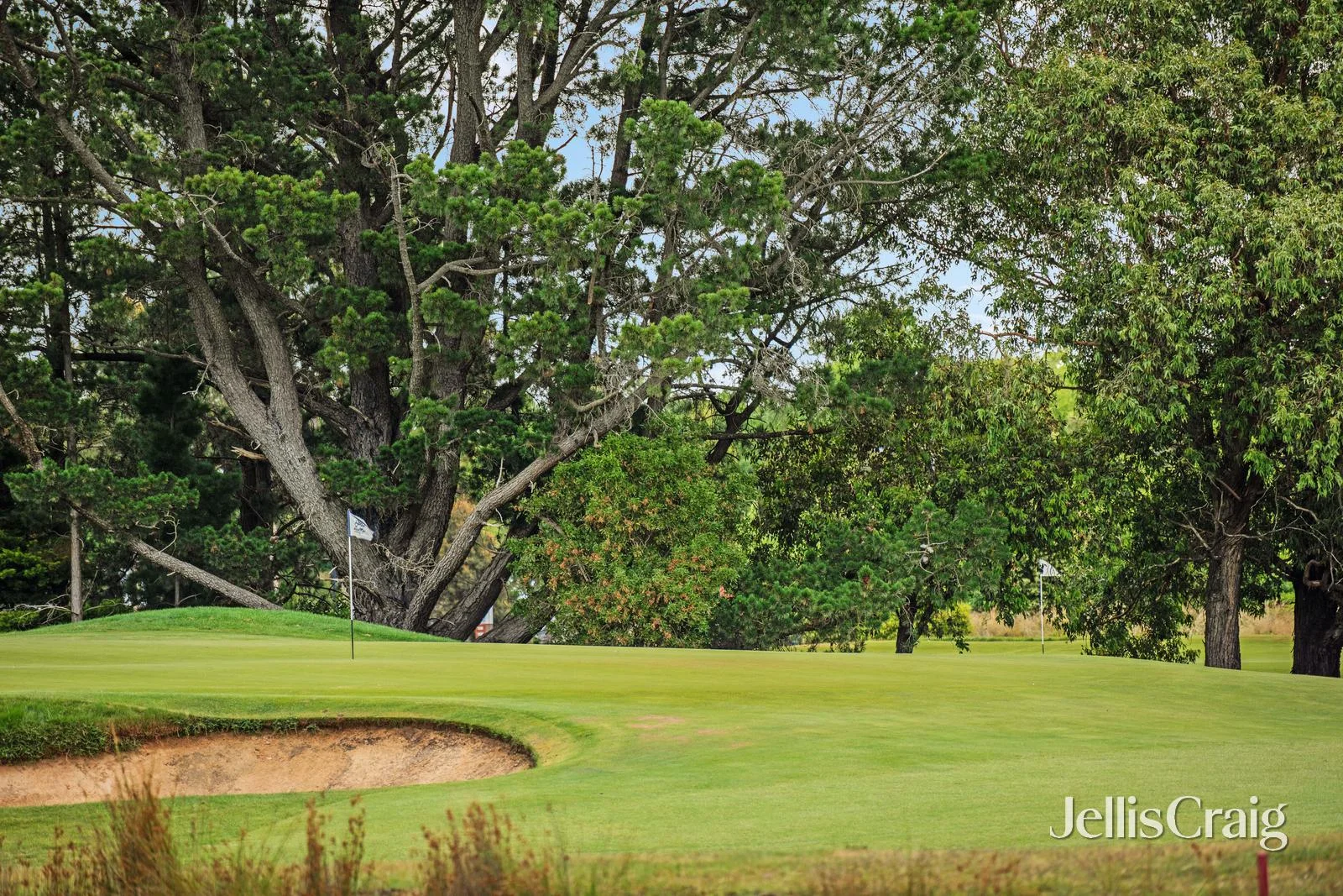 Additional image 5 of 4 Aspect Parade, Alfredton VIC 3350