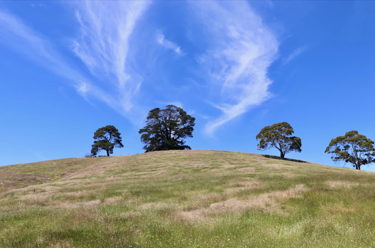 Additional image 6 of 13, 13A, 13B, 31A &, BRIDGE ROAD, Grenville VIC 3352