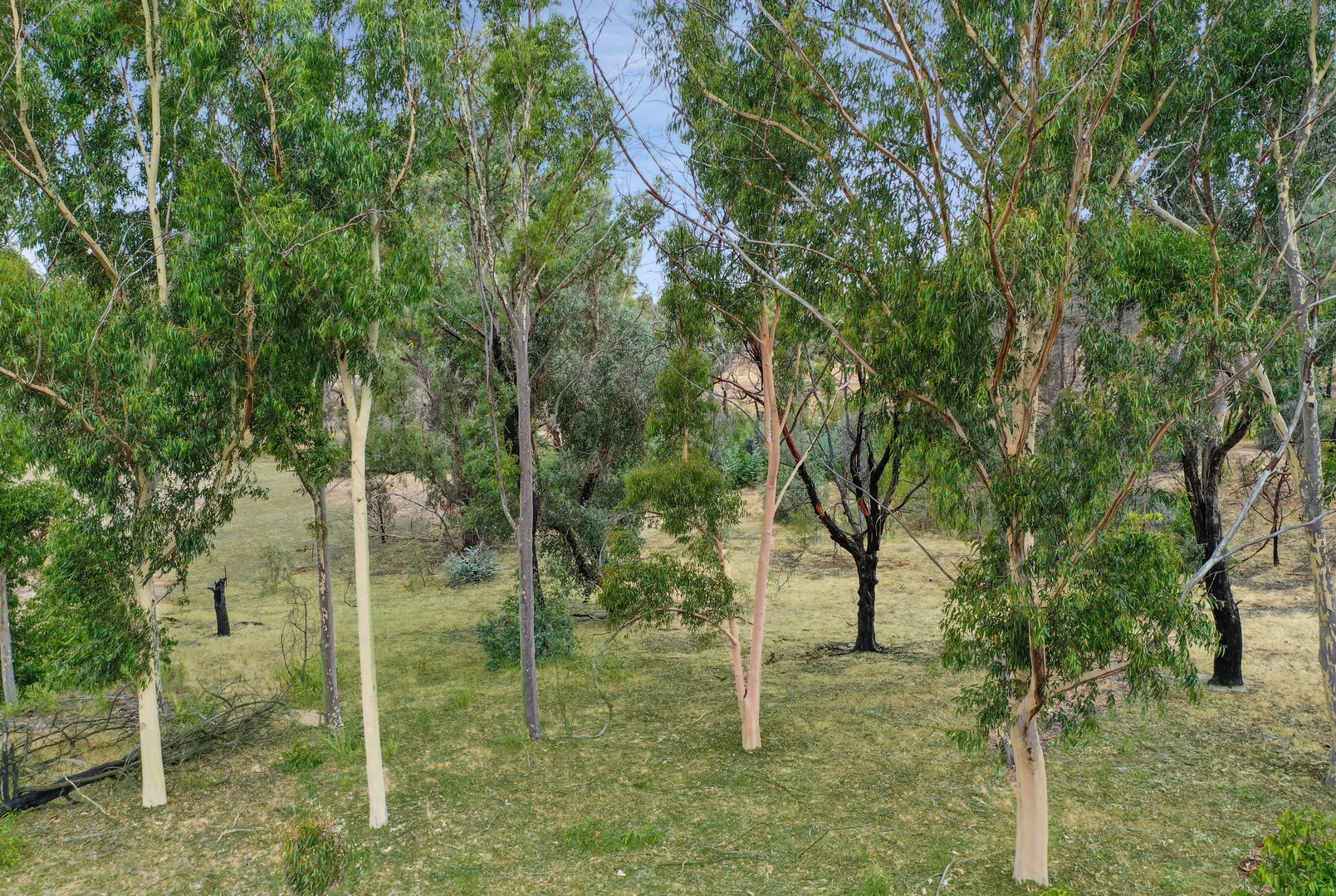 Additional image 8 of 35 Wildflower Drive, Pomonal VIC 3381