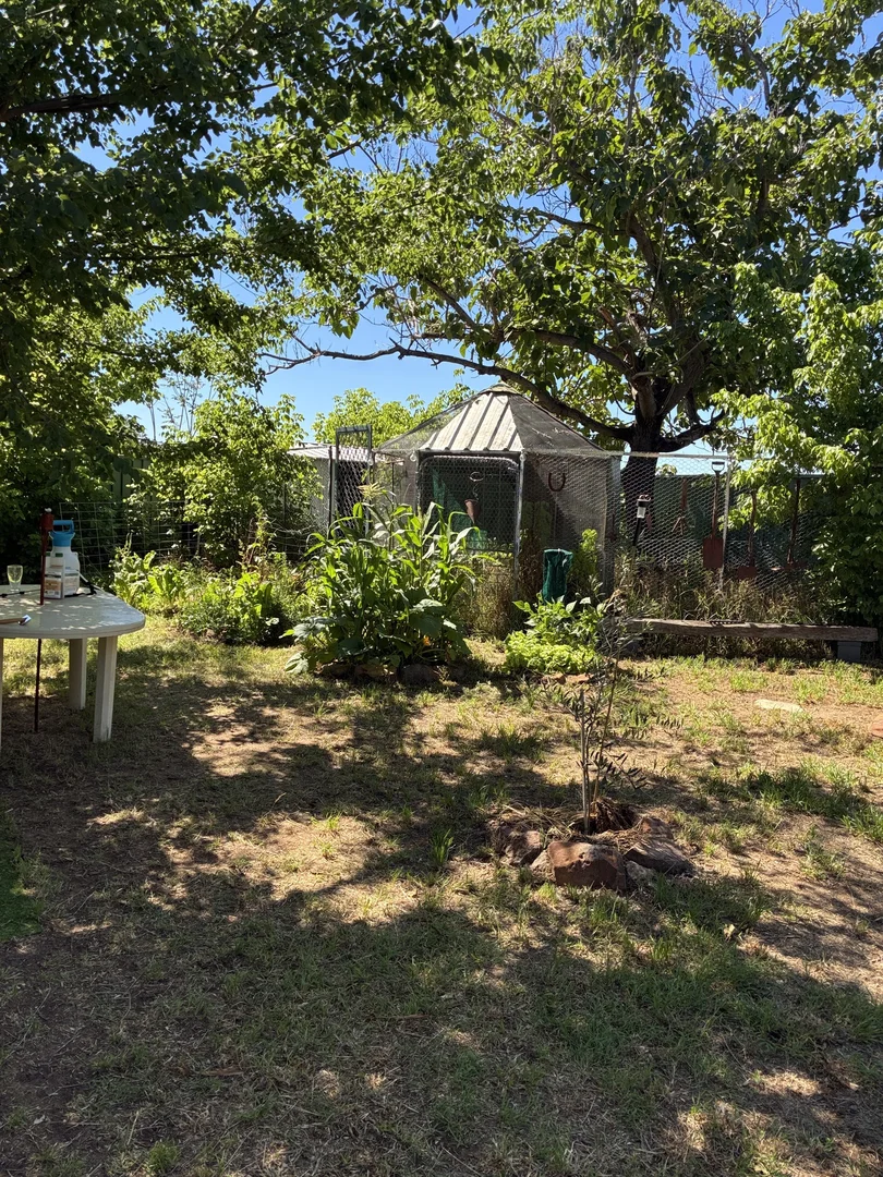 Additional image 25 of 4 Norman Street, Binnaway NSW 2395