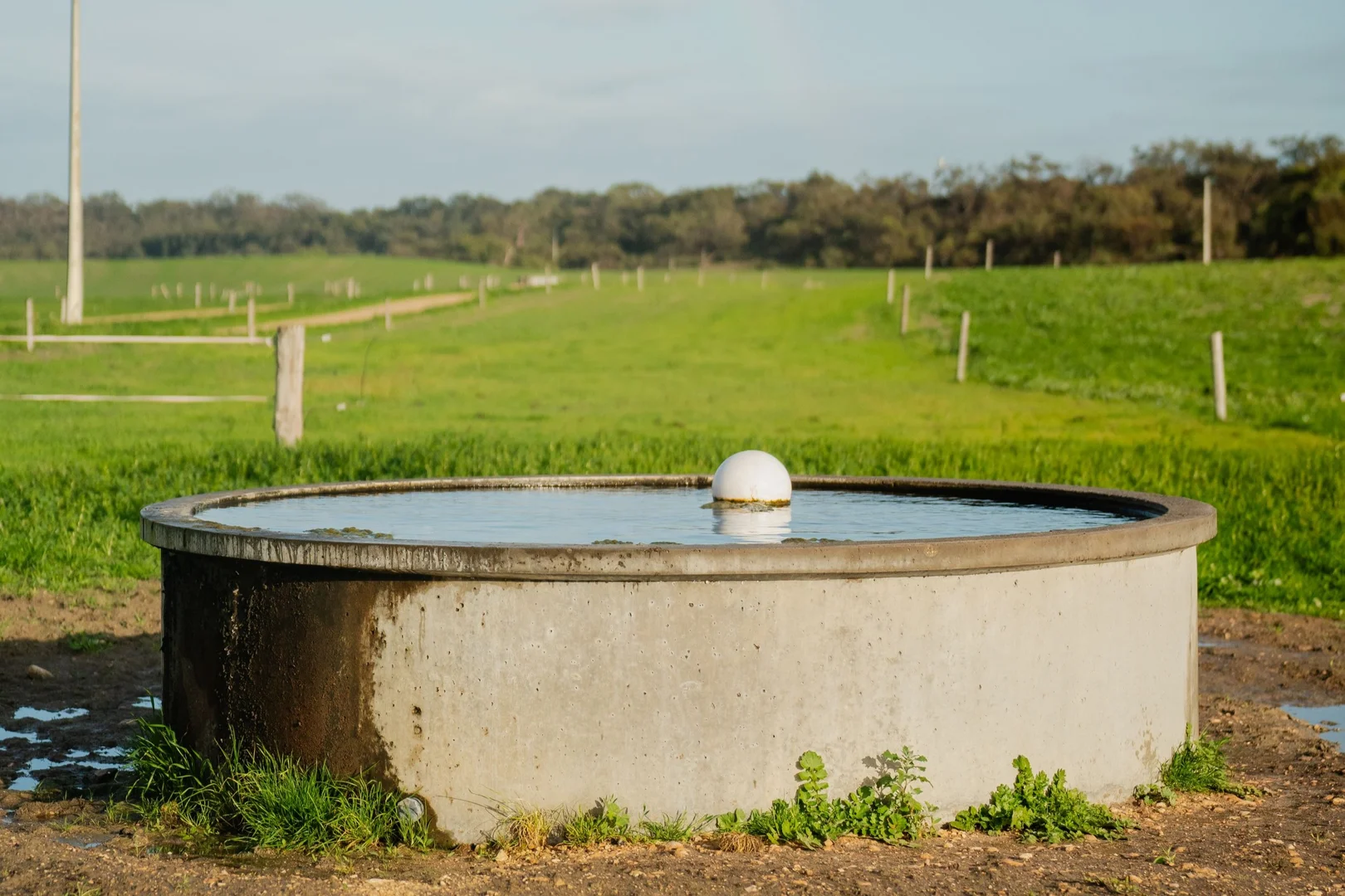 Additional image 14 of 394 Coombe Road, Tintinara SA 5266