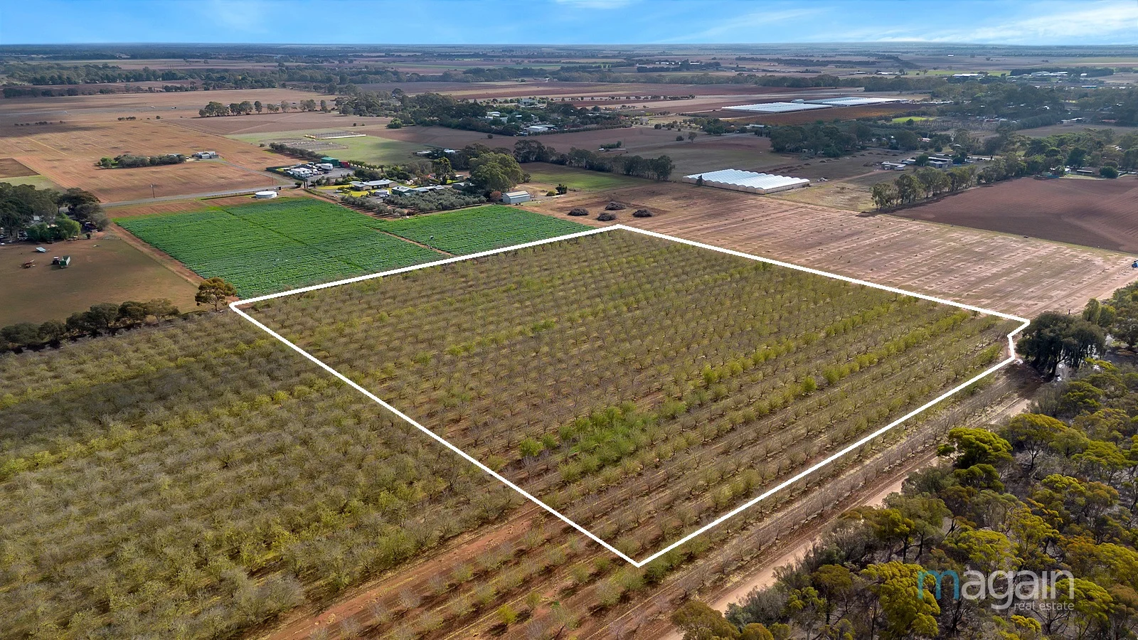 Additional image 4 of 76 Harris Road, Hillier SA 5116