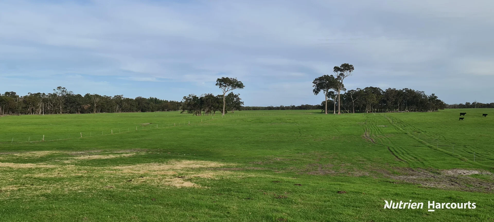 Additional image 28 of 2003 Settlement Road, Napier WA 6330