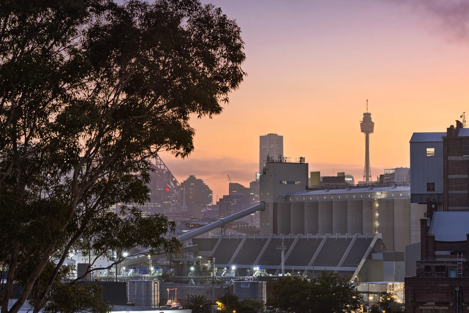 Additional image 20 of 2 Loughlin Street, Rozelle NSW 2039