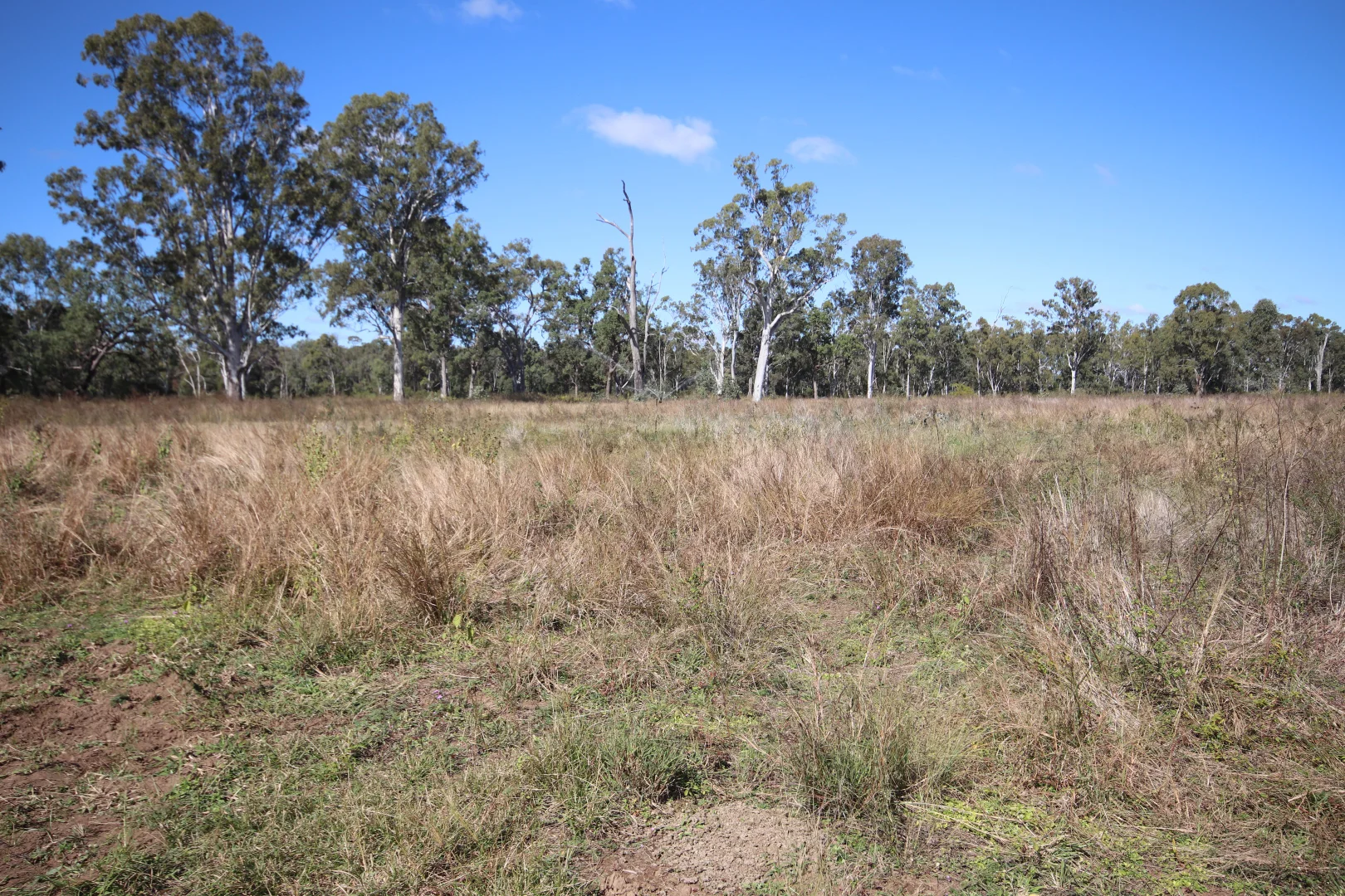 Additional image 9 of 8 Screening Plant Road, Cynthia, Eidsvold QLD 4627