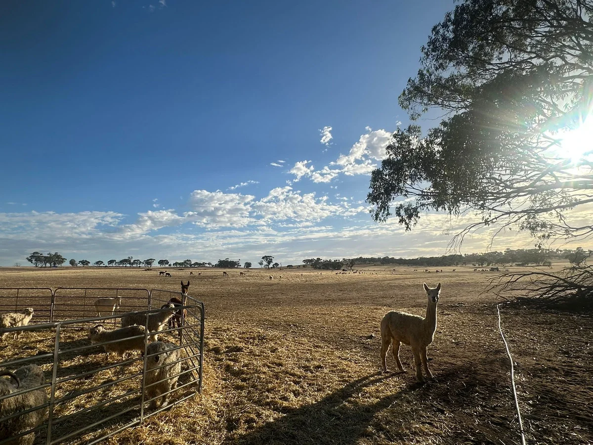 Additional image 6 of 2130 Long Forrest Road, Mumberkine WA 6401