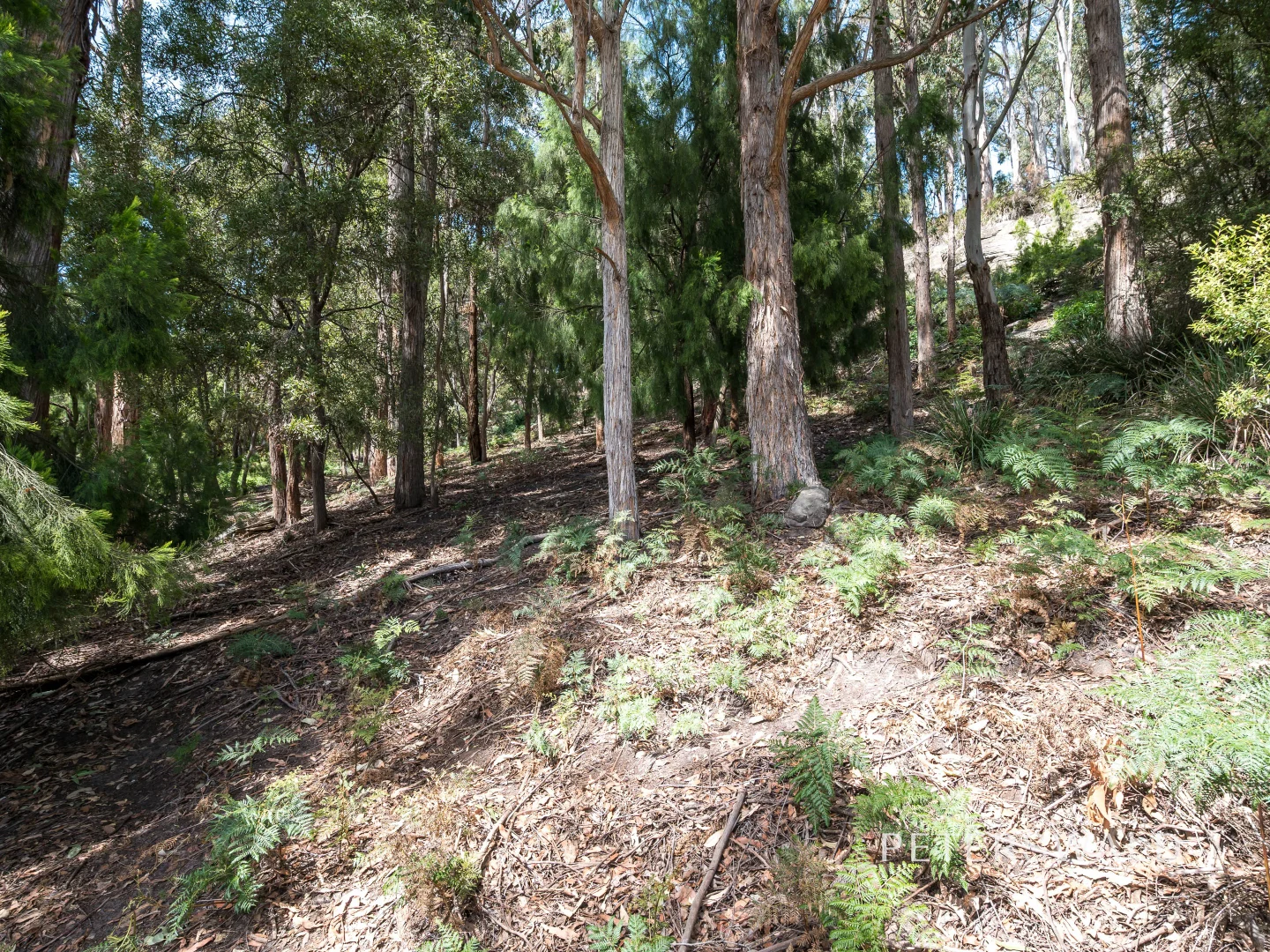 Additional image 35 of 109 Jones Road, Premaydena TAS 7185