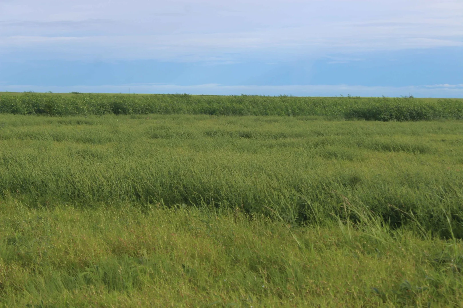 Additional image 5 of Stamford QLD 4821