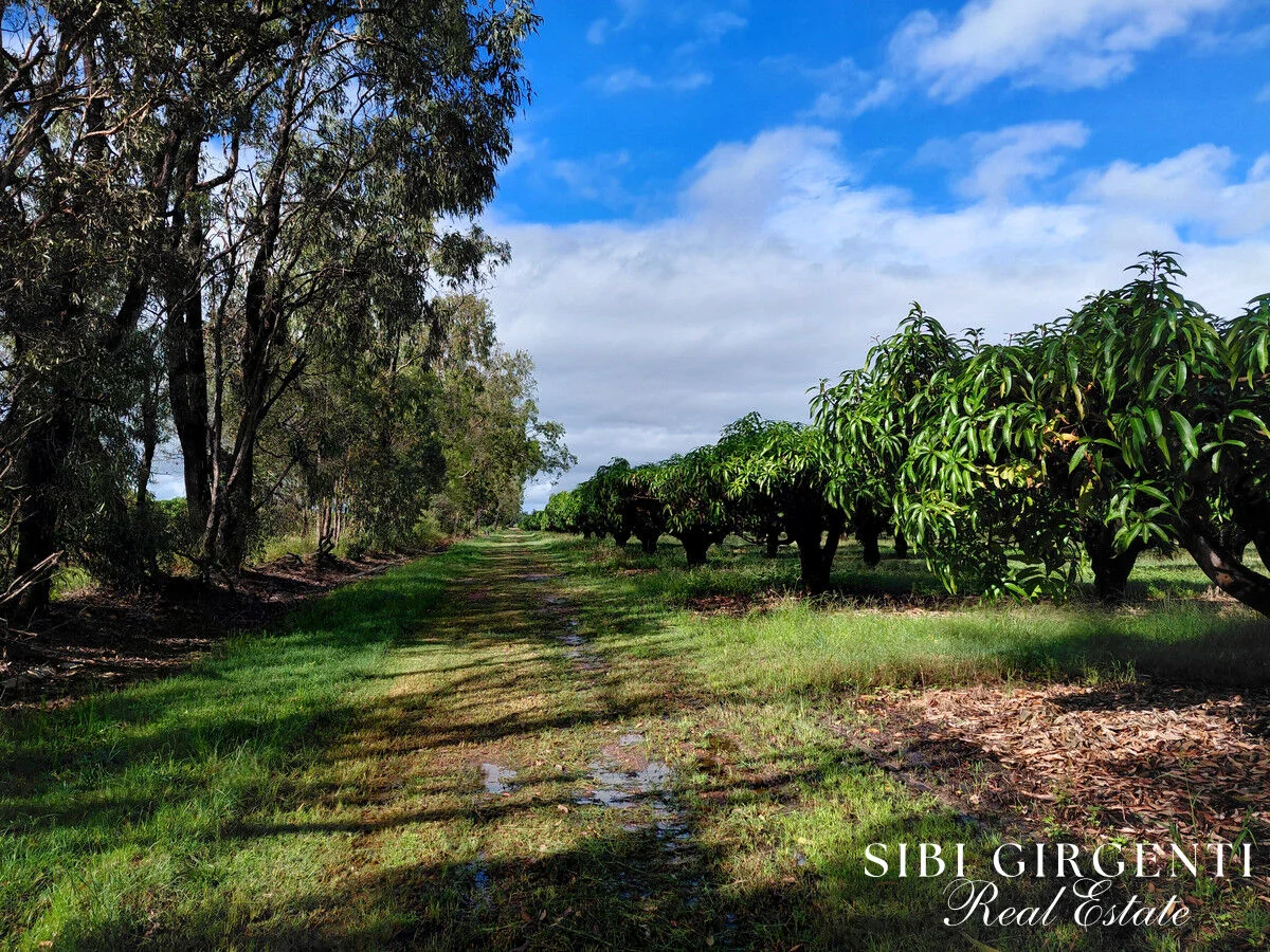 Additional image 7 of 263/71 Gilmore Road, Mareeba QLD 4880