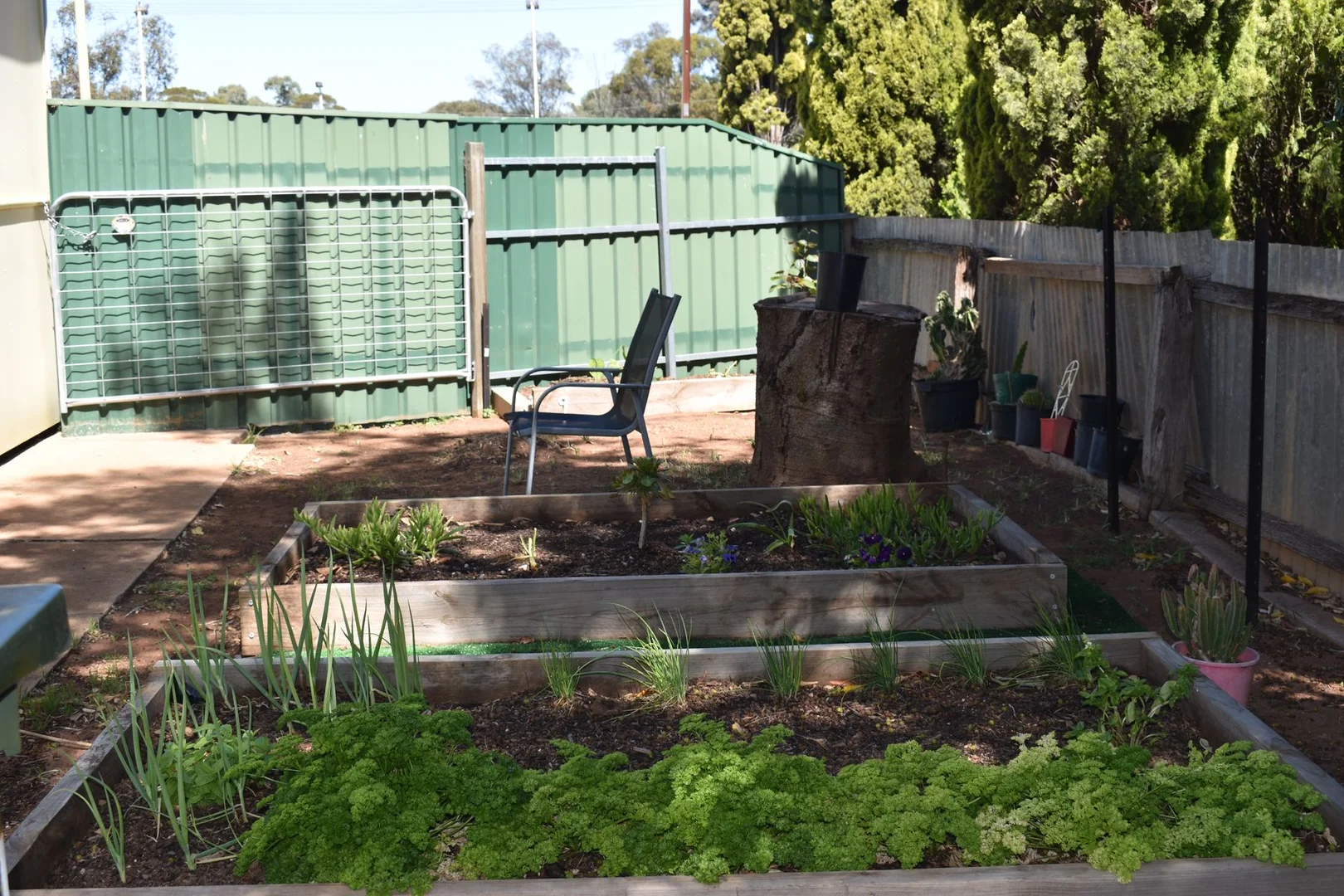 Additional image 14 of 22 EAST TERRACE, Brinkworth SA 5464