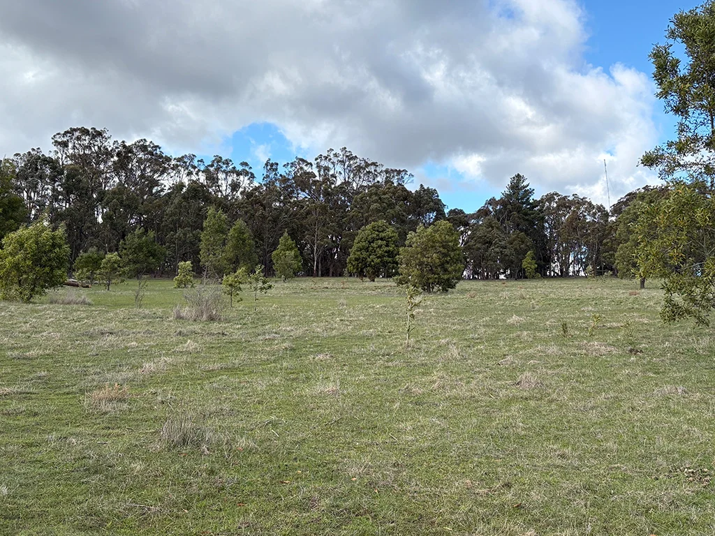 Additional image 12 of 537 Staffordshire Reef Road, Staffordshire Reef VIC 3351