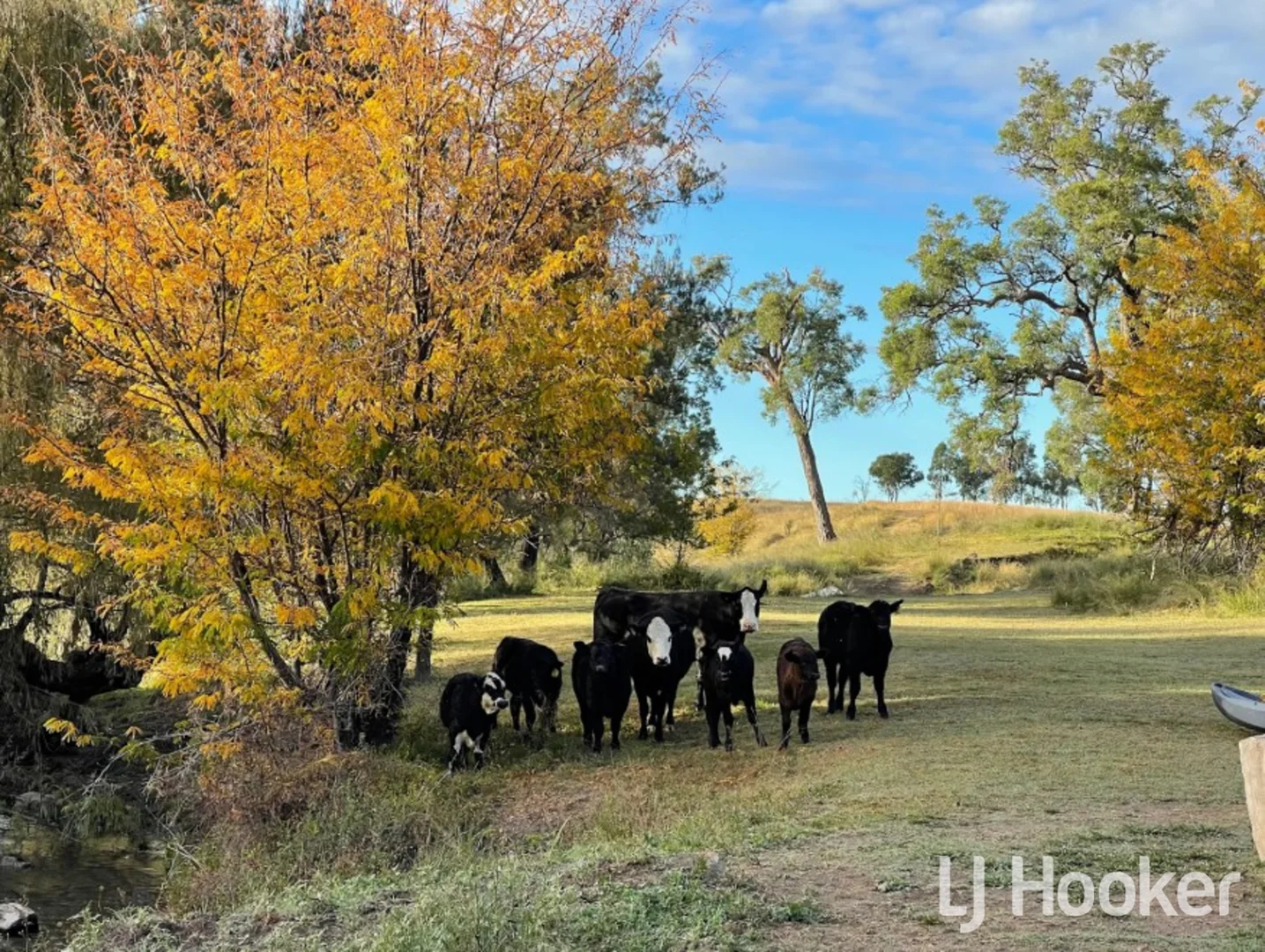 Additional image 7 of 557 Pindari Dam Road, Inverell NSW 2360