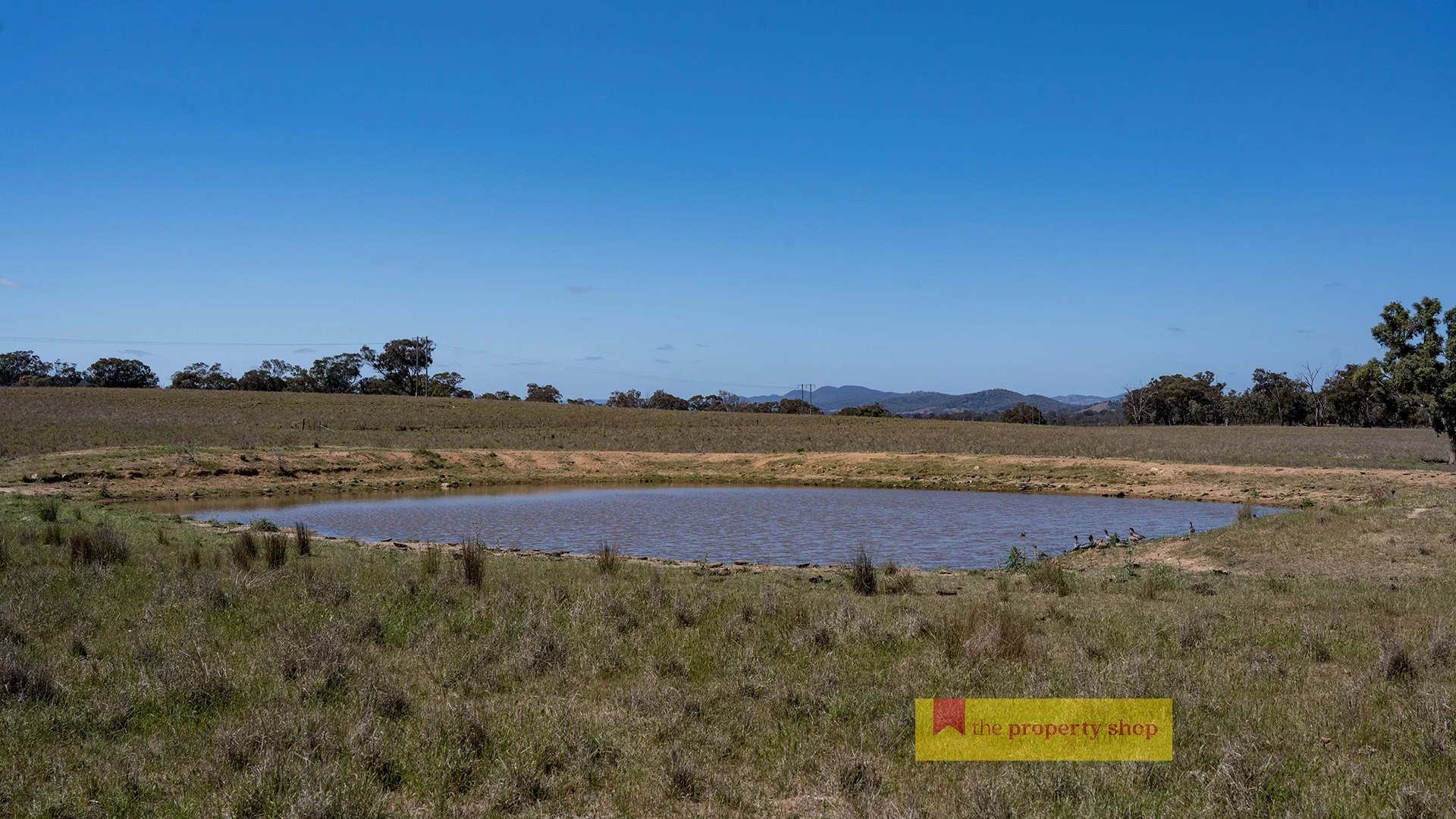 Additional image 4 of 1641 Castlereagh Highway, Mudgee NSW 2850