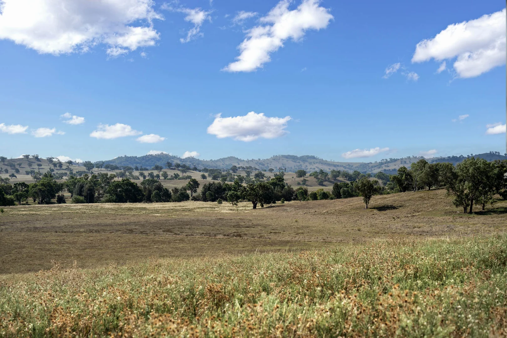 Additional image 8 of 323 Tinja Lane, Mudgee NSW 2850