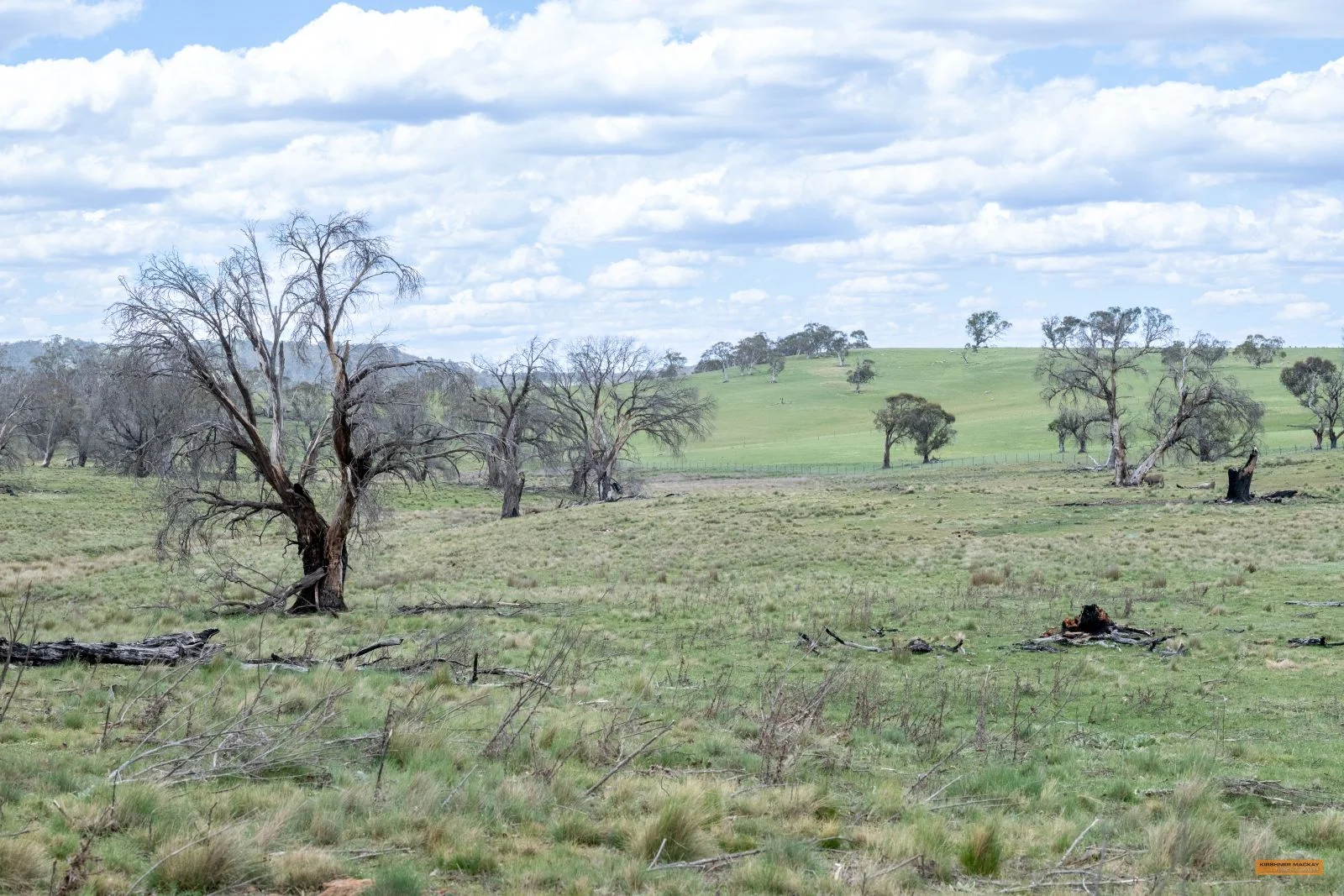 Additional image 21 of Lot 6 Avonside Road, Avonside NSW 2628