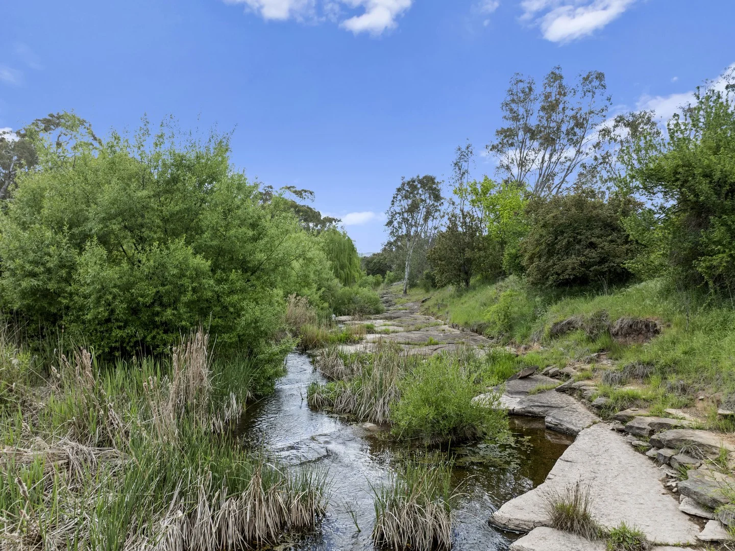 560 Old Tolmie Road, Mansfield VIC 3722