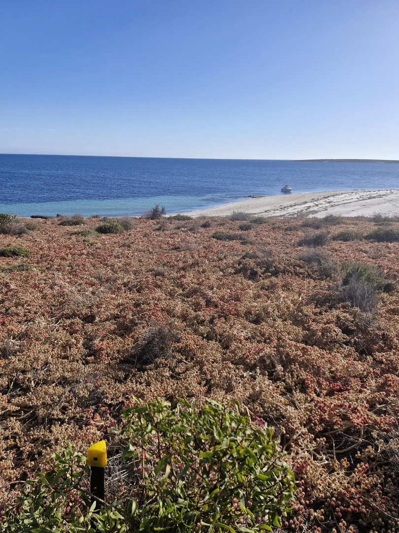 Additional image 3 of Lot 21 Spilsby Island, Port Lincoln SA 5606