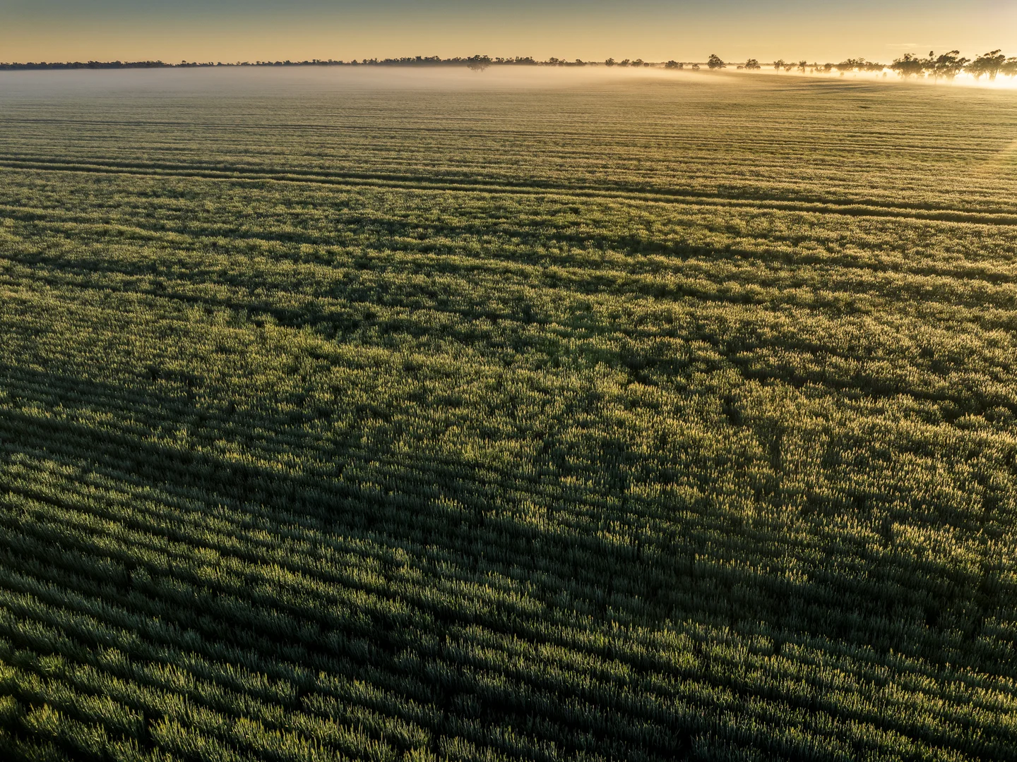 Additional image 7 of Bourbah 2598 Warren Road, Gulargambone NSW 2828