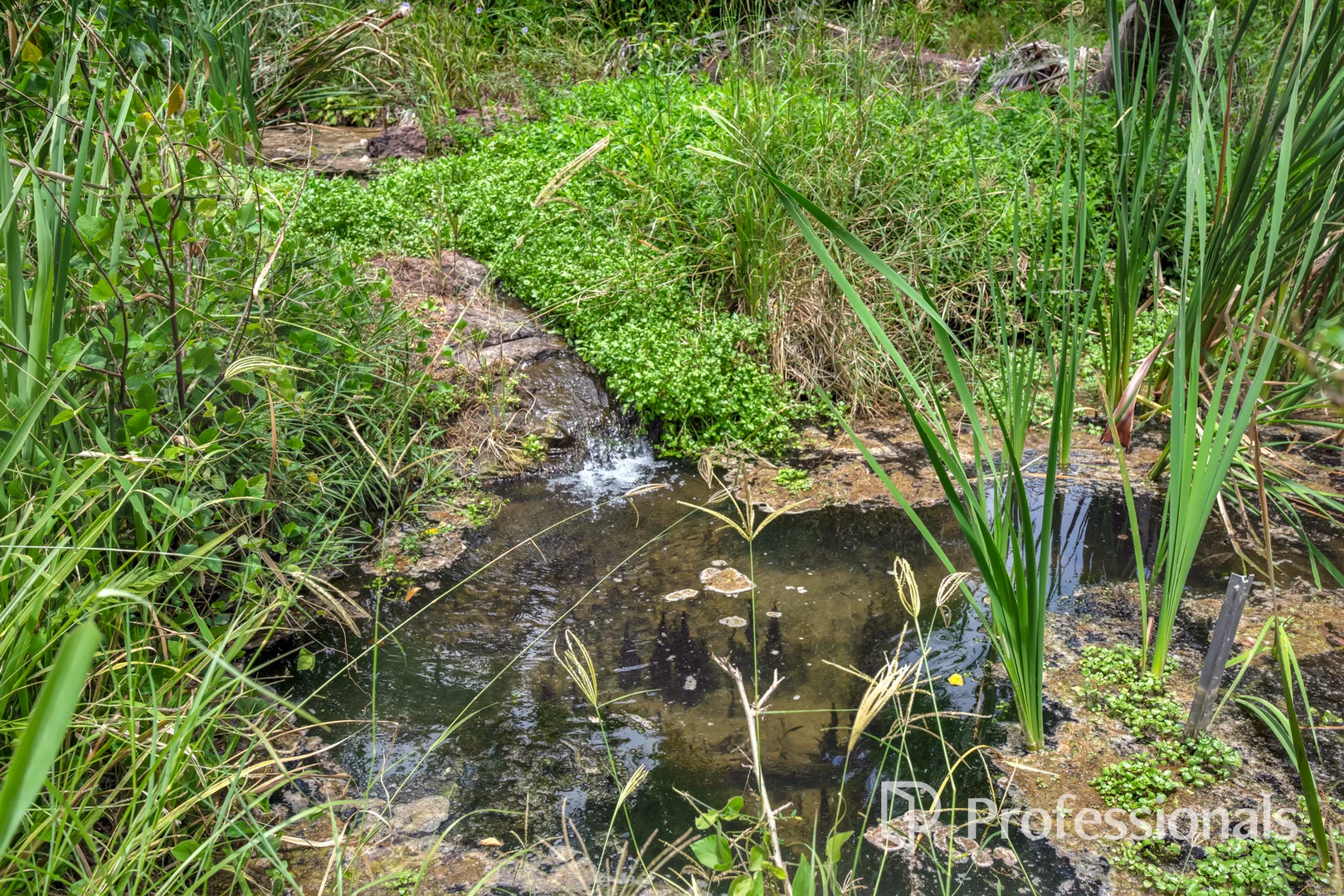 Additional image 11 of 185 Scrubby Creek Road, Scrubby Creek QLD 4570