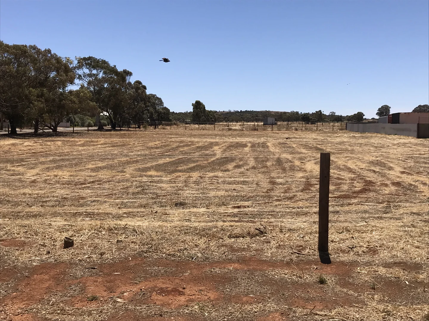 Additional image 4 of Lot 873 Victoria St, Peterborough SA 5422