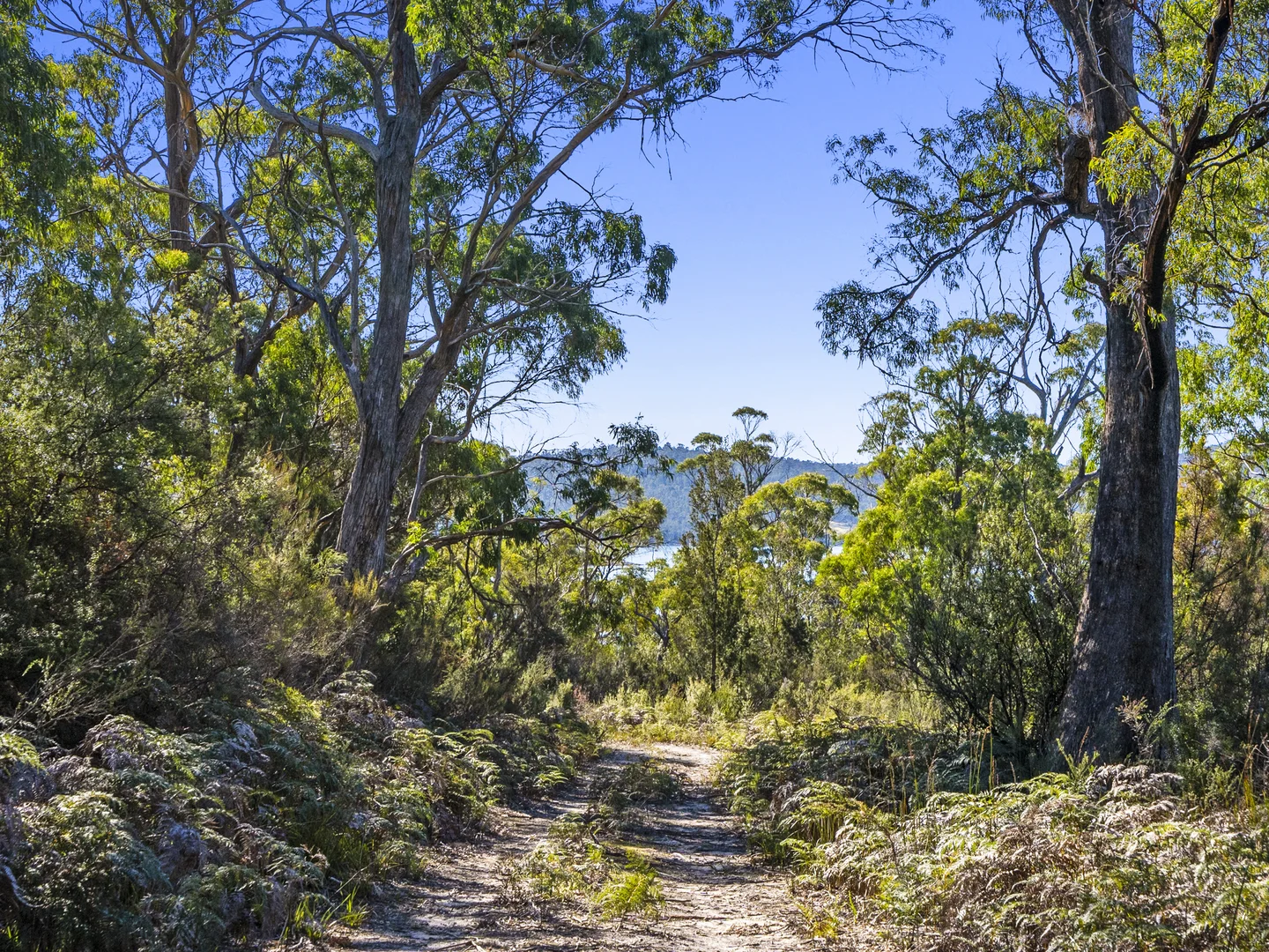 Additional image 31 of 1, 1, 2 Sympathy Point Road, Taranna TAS 7180