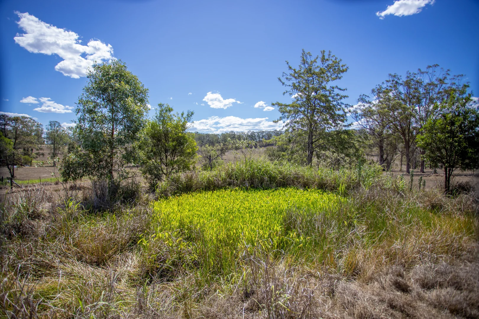 Additional image 20 of 77 Skyline Drive,, Wingham NSW 2429