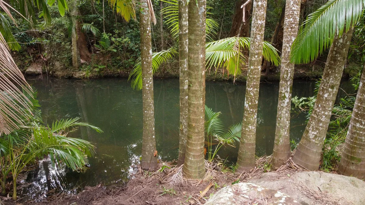 Additional image 14 of 220 Richters Road, Byfield QLD 4703