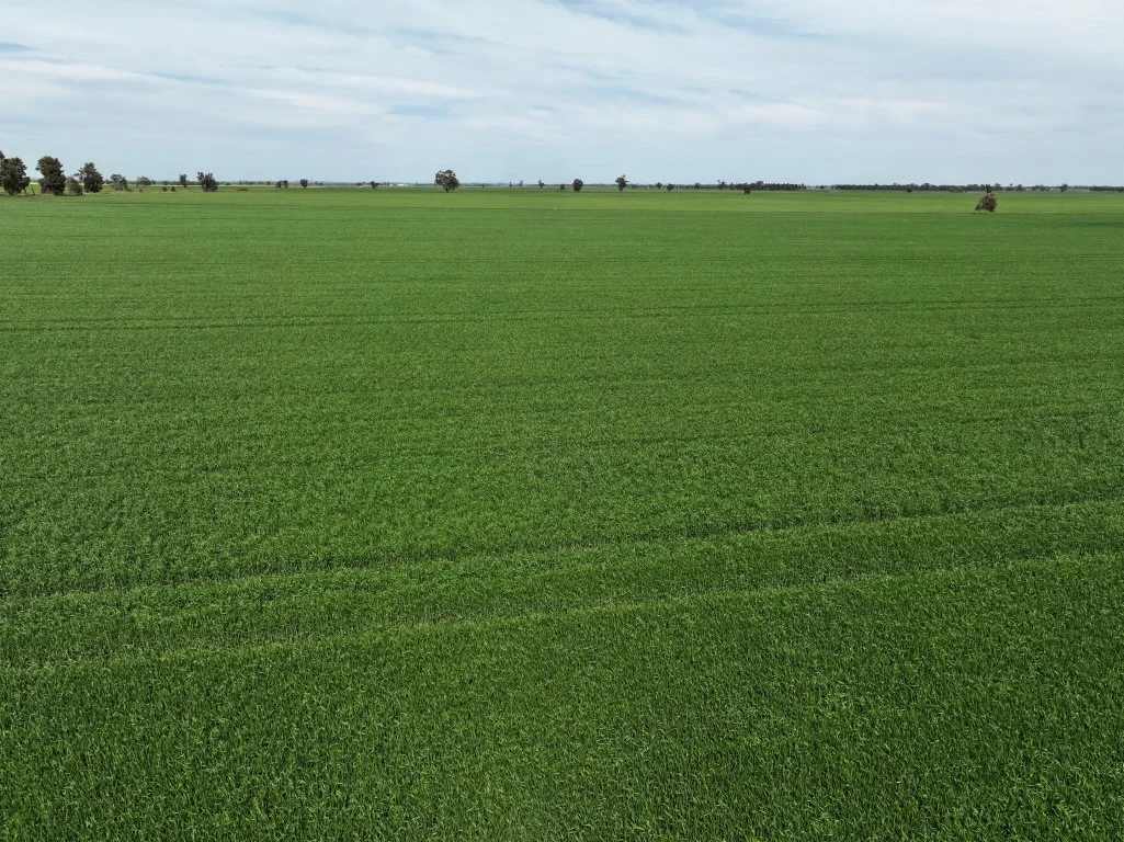 849 Brushwood North Rd, Coolamon NSW 2701