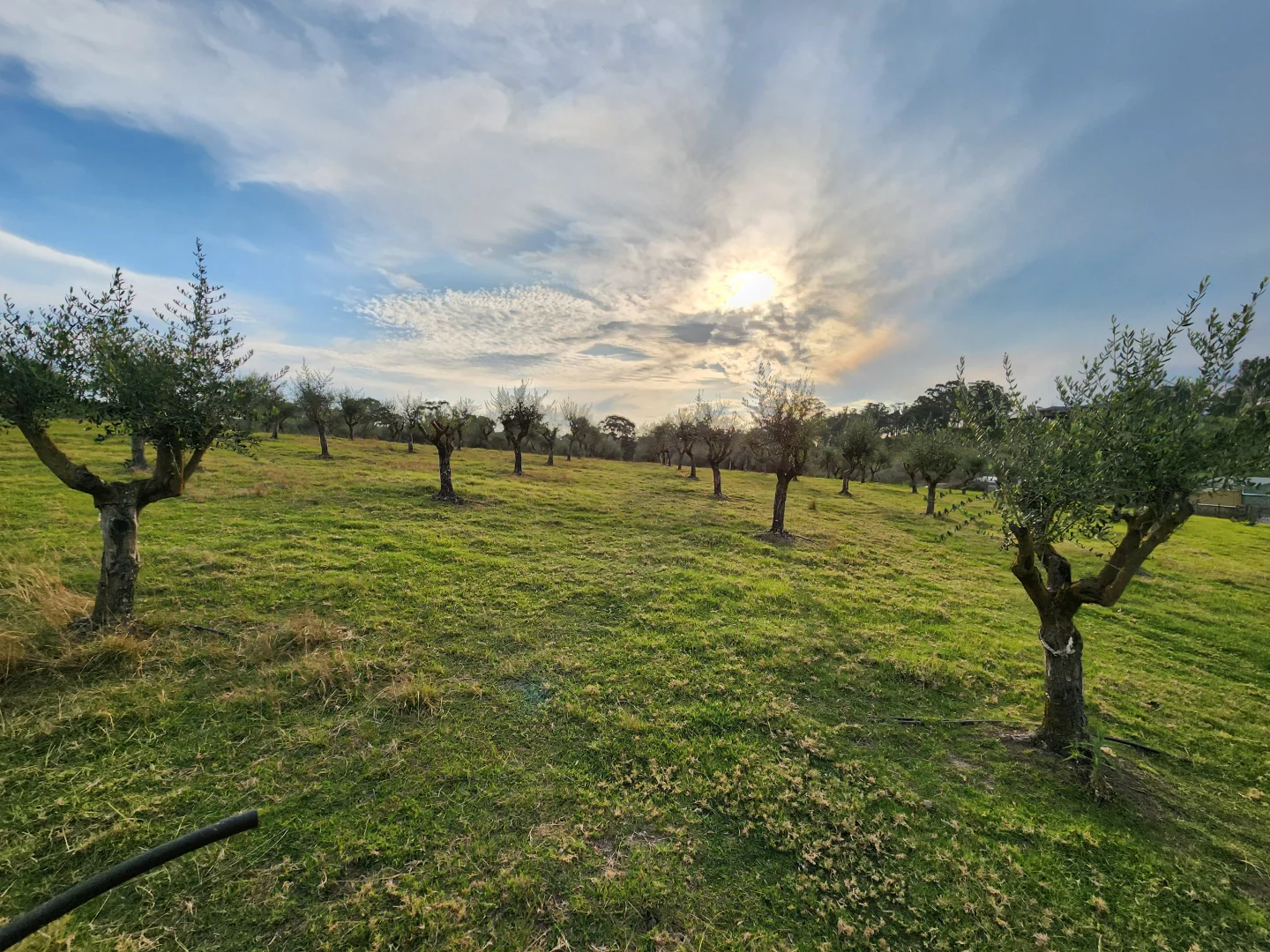 Additional image 43 of 100 Eltons Road, Silverdale NSW 2752