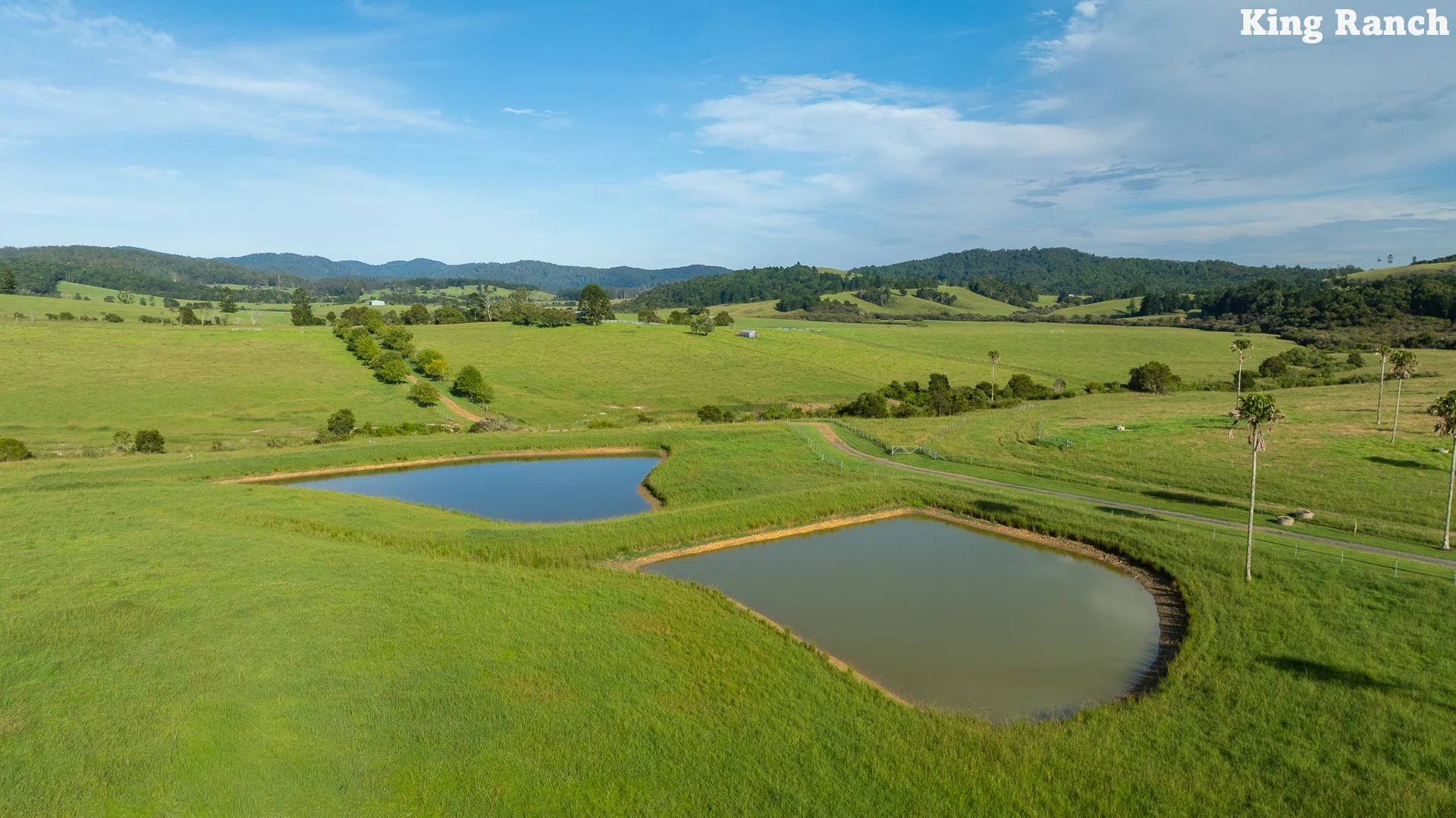 Additional image 14 of "King Ranch" 481 Upper Bobo Road, Coffs Harbour NSW 2450