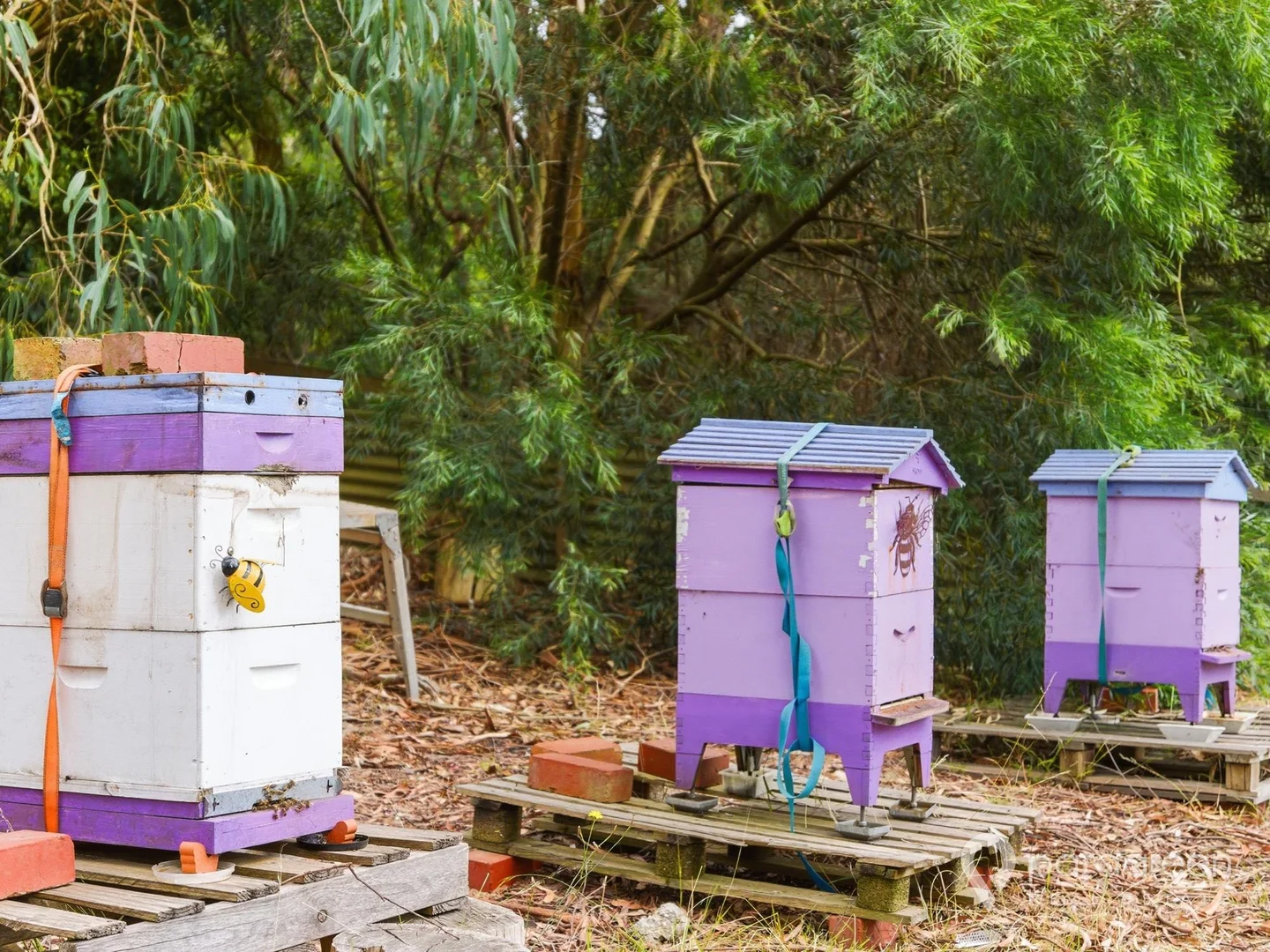 Additional image 30 of 5 Fleming Road, Foster VIC 3960