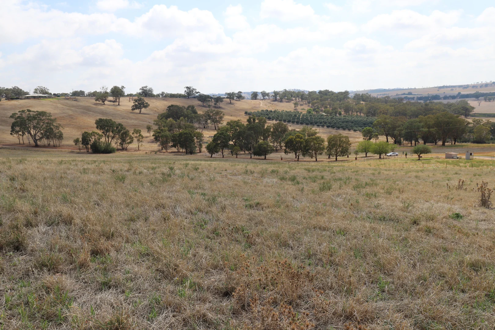 Additional image 5 of Lot 101, 102 &/105 Turners Lane, Cootamundra NSW 2590