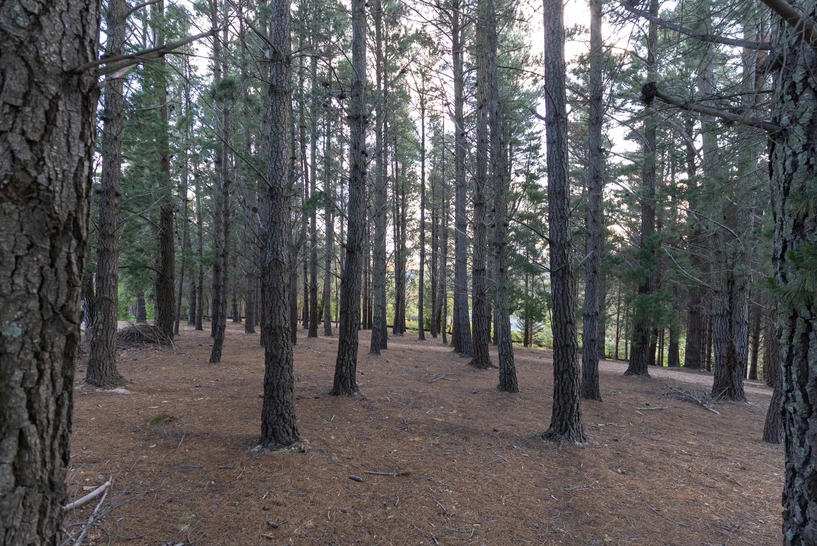 Additional image 30 of 610 Mount Macedon Road, Mount Macedon VIC 3441