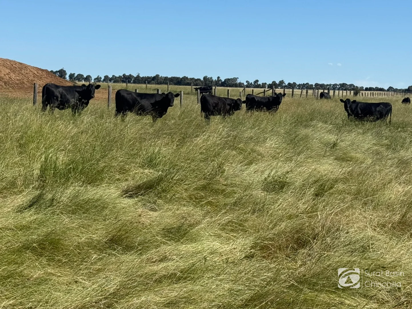 Additional image 2 of “Gedley et. al.” West Boondooma Road, Durong QLD 4610
